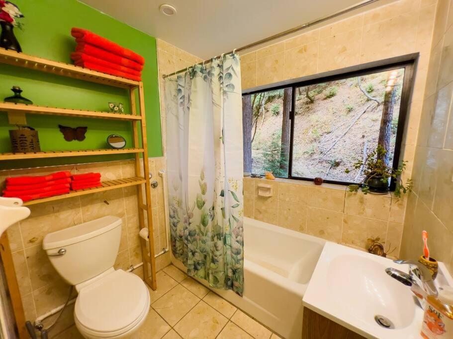 Apartmán Little House In The Redwoods With A Hot Tub! Garberville Exteriér fotografie