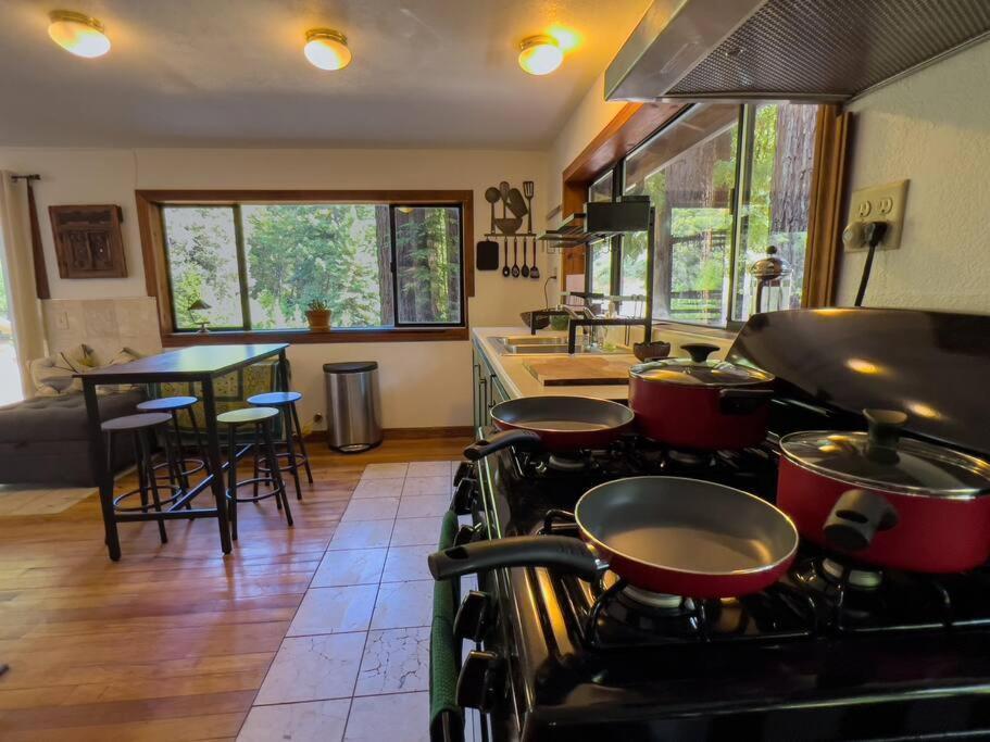 Apartmán Little House In The Redwoods With A Hot Tub! Garberville Exteriér fotografie