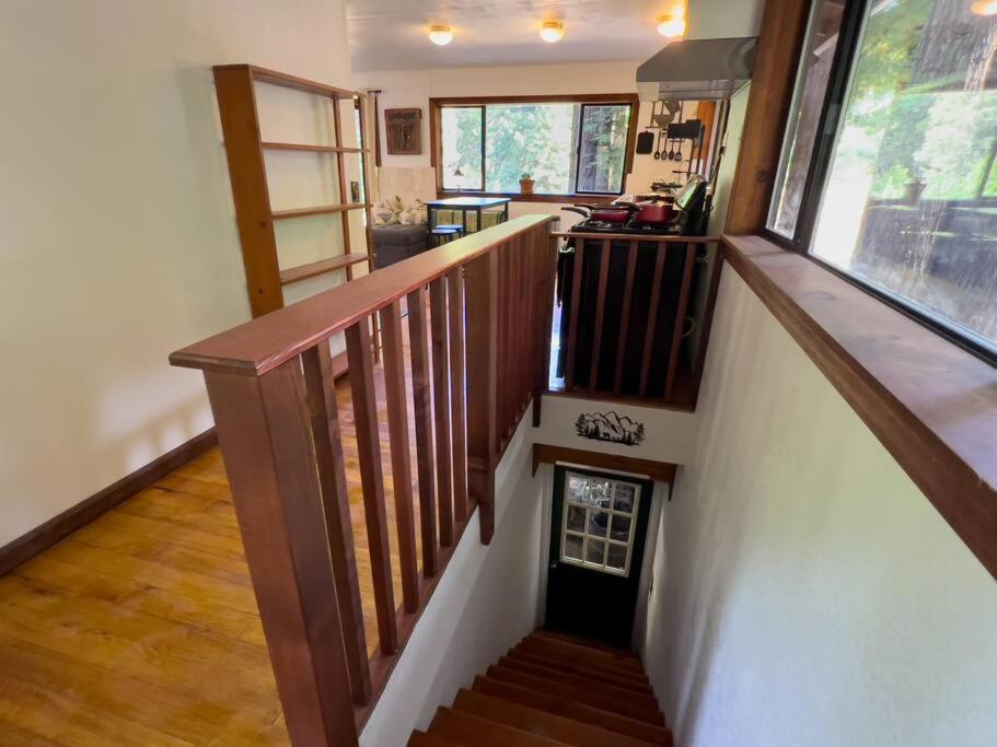 Apartmán Little House In The Redwoods With A Hot Tub! Garberville Exteriér fotografie