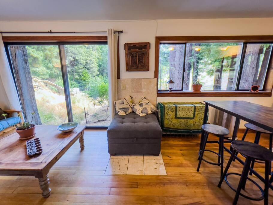 Apartmán Little House In The Redwoods With A Hot Tub! Garberville Exteriér fotografie