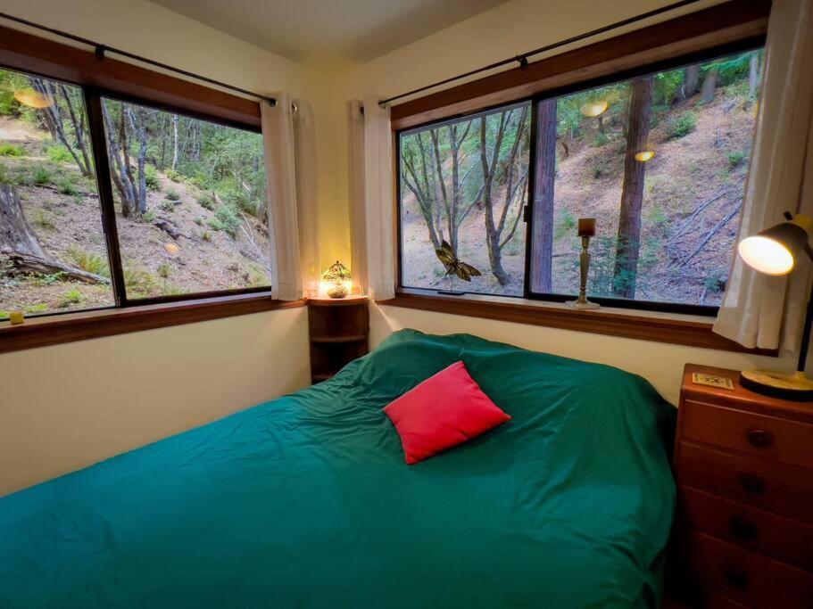 Apartmán Little House In The Redwoods With A Hot Tub! Garberville Exteriér fotografie